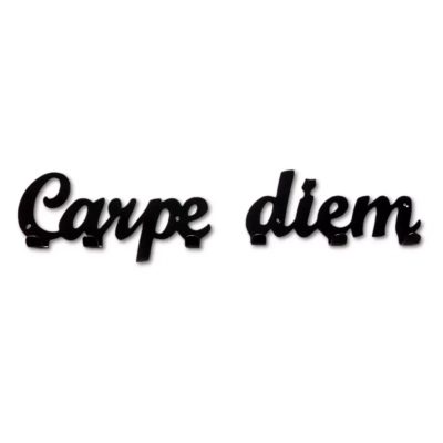 CARPE DIEM wieszak na ubrania lub klucze Briso design